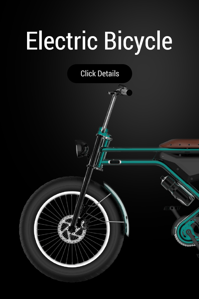 Electric bicycle from the manufacturer's current catalogue